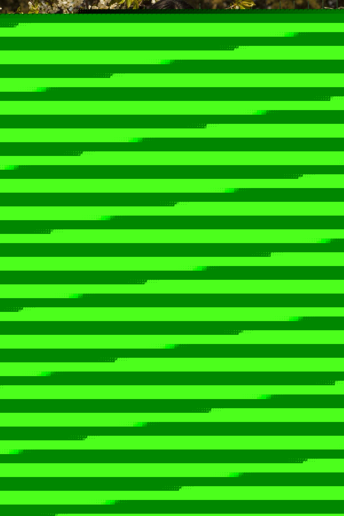 Poplin Çiçek Desenli Kedime Deyaylı Balon Kol Elbise